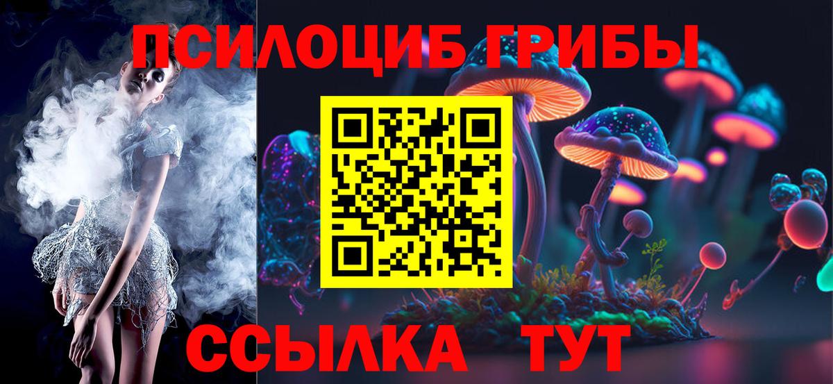 Псилоцибиновые грибы Cubensis Видное