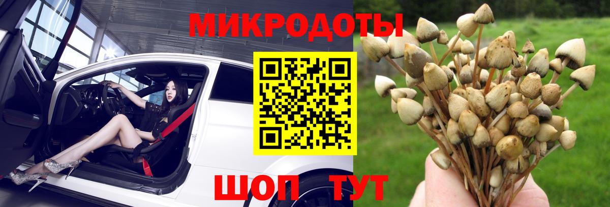 Галлюциногенные грибы Cubensis  Псилоцибиновые грибы Psilocybine cubensis  Видное  Вход с VPN 